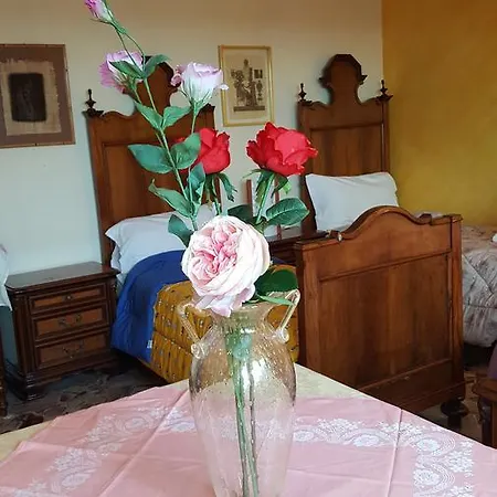 Alojamento de Acomodação e Pequeno-almoço Vespucci Garden Mestre
